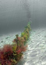 Mooring rope.
Aughrusbeg, Connemara.
D200, 16mm. & a to... by Mark Thomas 